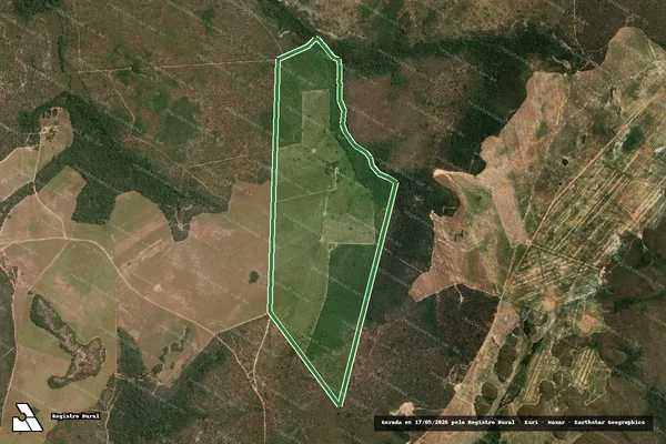 Imagem de satélite — FAZENDA PAU D'ARCO - PARTE DO LOTE 473 — Goiatins/TO