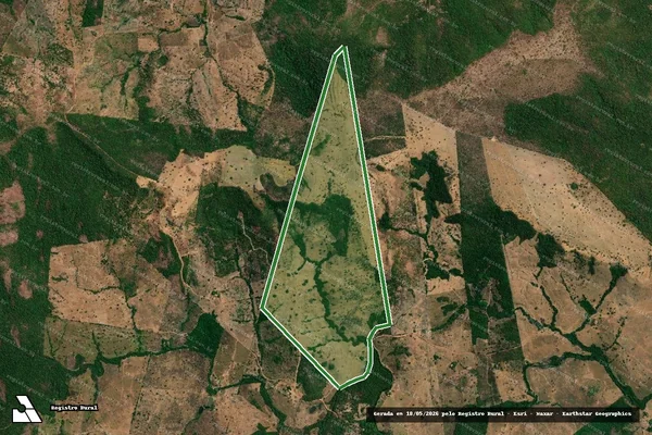 Imagem de satélite — FAZENDA PÉ DO MORRO - Miranorte/TO