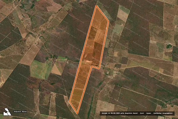 Imagem de satélite de Vereda Do Jatoba em PARNAGUÁ - PI