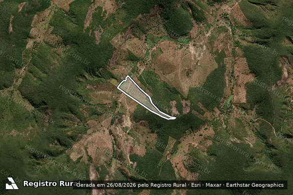 Imagem de satélite de Faz Tamandua em MEDINA - MG