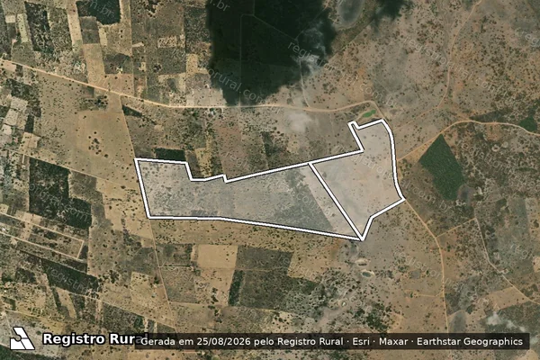 Imagem de satélite de FAZENDA SANTA ROSA em SERROLÂNDIA - BA