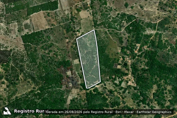 Imagem de satélite de Fazenda Pedra I I I em ALAGOINHAS - BA