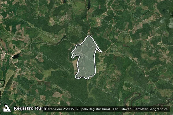 Imagem de satélite de FAZENDA MATA ATLANTICA em VALENÇA - BA