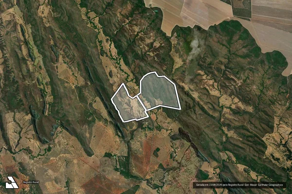 Imagem de satélite de FAZENDA RIACHO DOS CAVALOS em NATALÂNDIA - MG