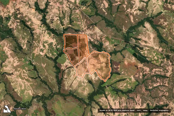 Imagem de satélite de FAZENDA CARRAPATO OU ALMAS em LAGAMAR - MG