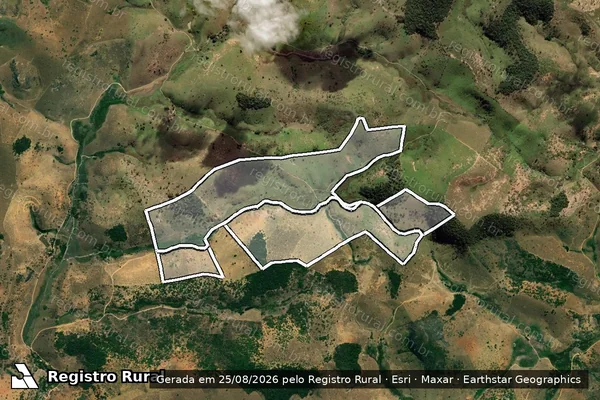 Imagem de satélite de FAZENDA BOA SORTE em ATALÉIA - MG