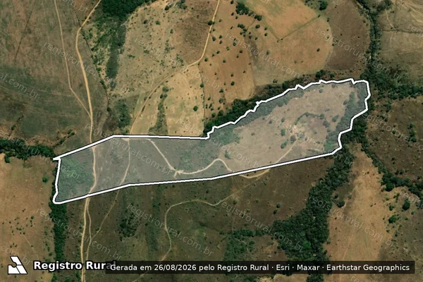 Imagem de satélite de Fazenda Palmeiras em TAPIRA - MG