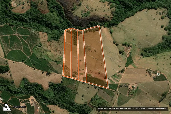 Imagem de satélite de Fazenda Boa Vista Ou Lemos em TAPIRAÍ - MG