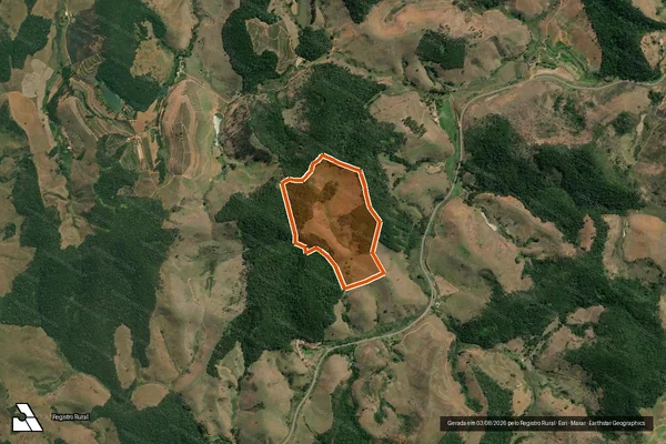 Imagem de satélite de Fazenda Nova Zelandia em LEOPOLDINA - MG