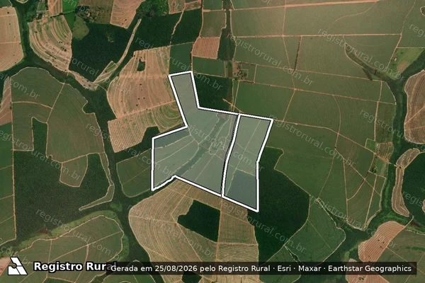 Imagem de satélite de FAZENDA PALMEIRAS em ITAJOBI - SP
