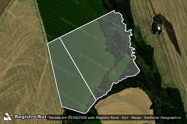 Imagem de satélite de Sitio Munhoz Da Rocha em BRAGANEY - PR