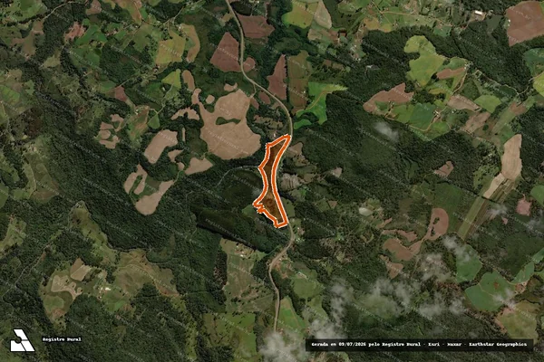Imagem de satélite de Bananas em GUARAPUAVA - PR