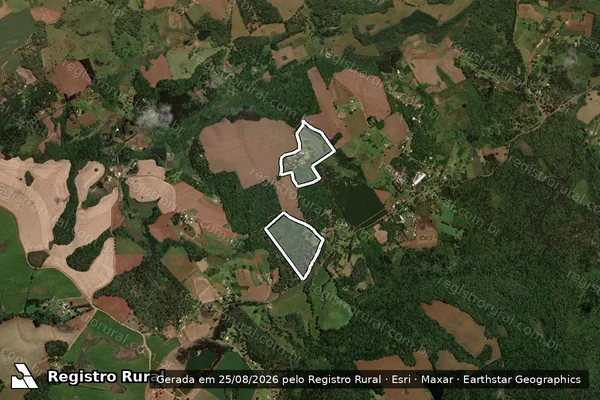 Imagem de satélite de RINCAO DAS PALMEIRAS em GUARAPUAVA - PR