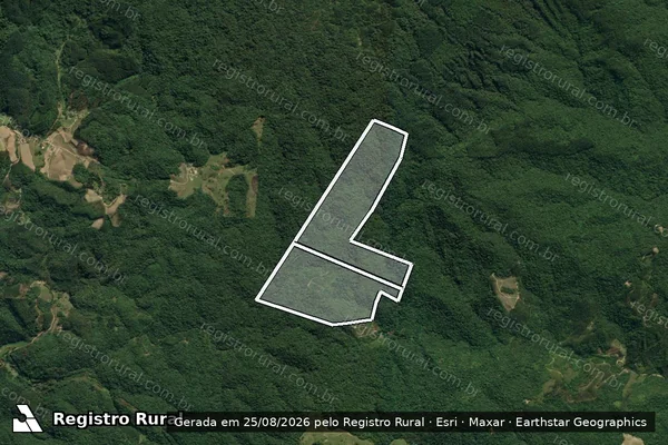 Imagem de satélite de Taquaras III em APIÚNA - SC