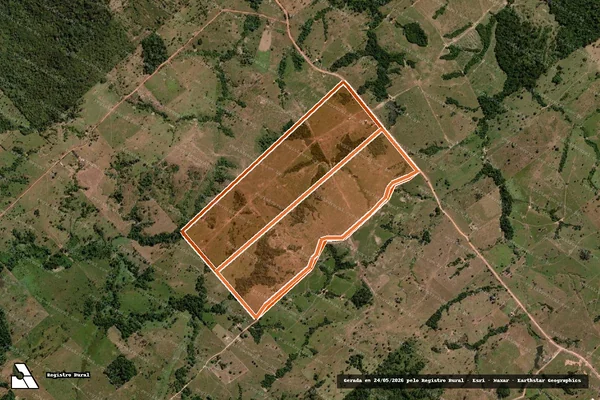Imagem de satélite de FAZENDA MATO VERDE em CASTANHEIRA - MT