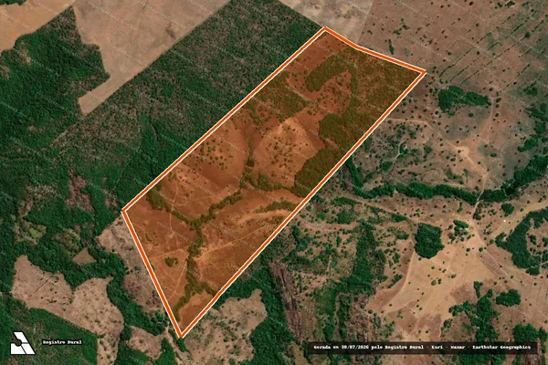 Imagem de satélite de FAZENDA FLOR DO TEMPO em PIUM - TO