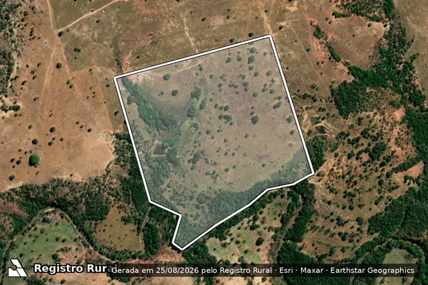 Imagem de satélite de Fazenda Estreito em IVOLÂNDIA - GO