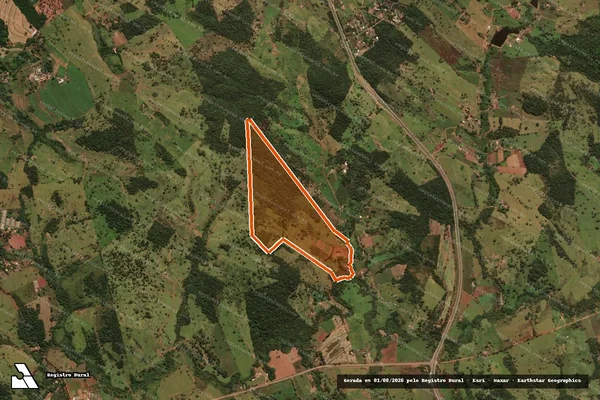 Imagem de satélite de Fazenda Cedro 1 em NOVA VENEZA - GO
