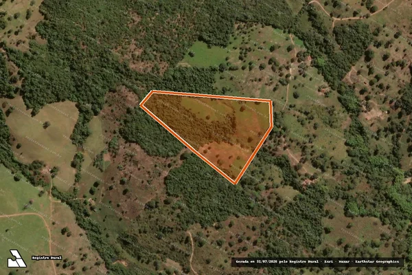 Imagem de satélite de Fazenda Gameleira em RUBIATABA - GO