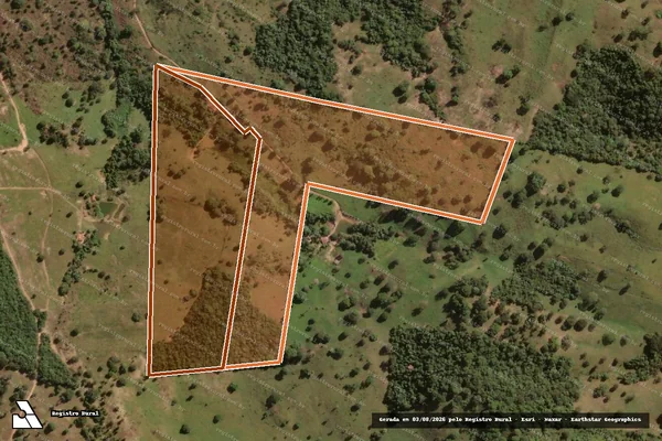 Imagem de satélite de FAZENDA CANAVIAL em RUBIATABA - GO