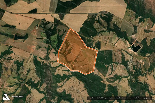 Imagem de satélite de FAZENDA COQUEIRAL em IPAMERI - GO