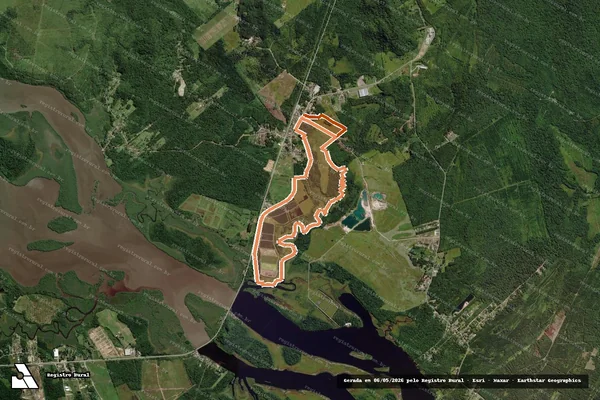 Imagem de satélite de Fazenda Miranda em SÃO FRANCISCO DO SUL - SC