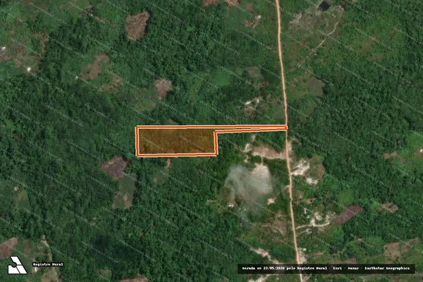 Imagem de satélite de LOTE 085 em SÃO GABRIEL DA CACHOEIRA - AM