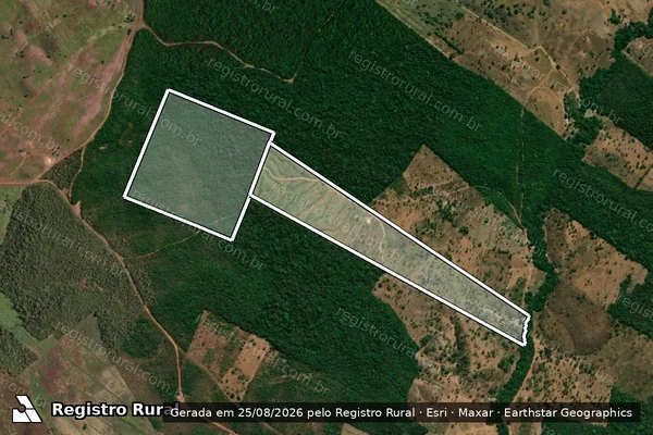 Imagem de satélite de FAZENDA 4 MENINAS em PEDRO AFONSO - TO