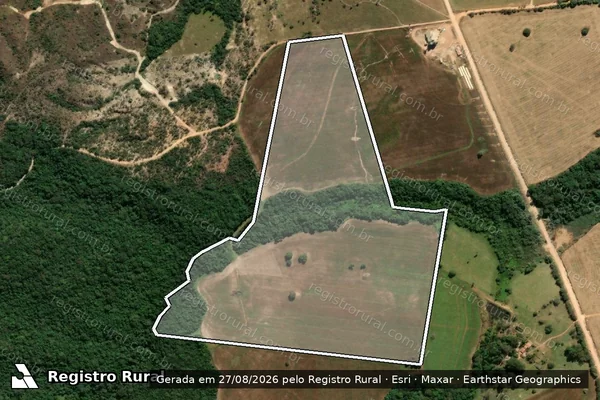 Imagem de satélite de FAZENDA SAPINHO em SILVÂNIA - GO