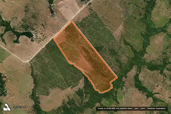 Imagem de satélite de Fazenda Nossa Senhora Aparecida em Arapoema - TO