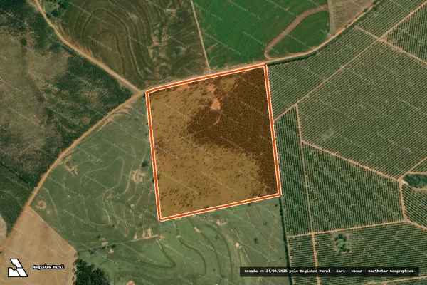 Imagem de satélite de Sítio Santa Rosa em FERNÃO - SP