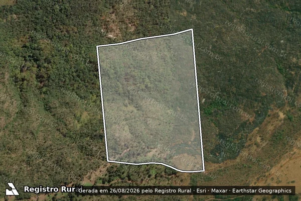 Imagem de satélite de FAZENDA BOCAINA E PATRONA em ARAGUARI - MG