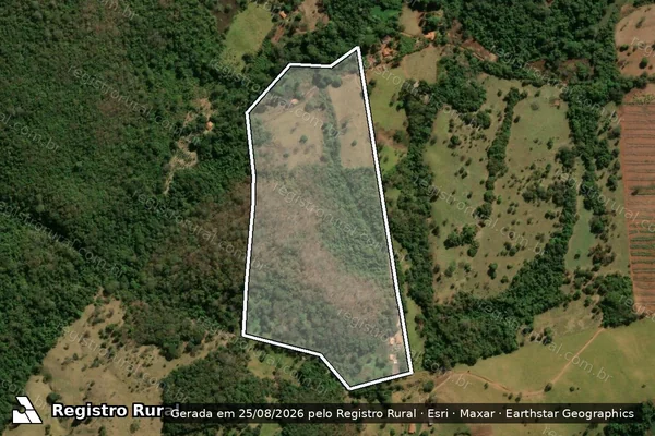 Imagem de satélite de FAZENDA SAO FIDELIS em INHUMAS - GO