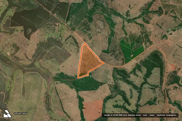 Imagem de satélite de FAZENDA BURITI em PRATA - MG