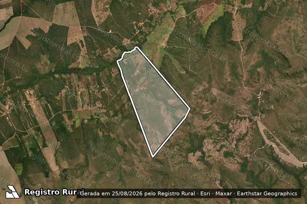 Imagem de satélite de Gleba Alagadico em SÃO RAIMUNDO DAS MANGABEIRAS - MA