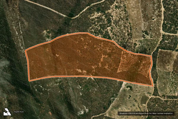 Imagem de satélite de Fazenda Alagadico em TANQUE NOVO - BA