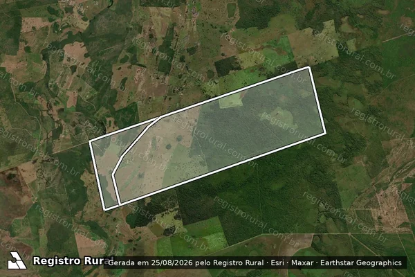 Imagem de satélite de FAZENDA PÉ DE CEDRO em FORMOSO DO ARAGUAIA - TO
