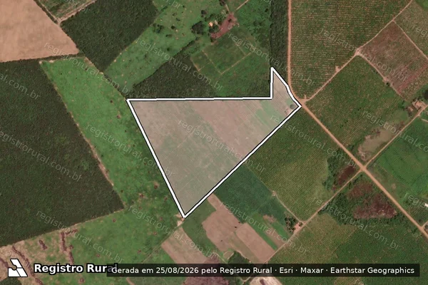 Imagem de satélite de LOTE AGRICOLA 121 em RIACHÃO DAS NEVES - BA