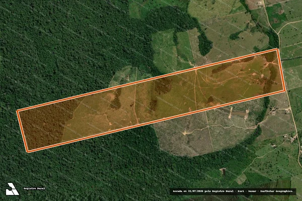 Imagem de satélite de FAZENDA DOM RAFAEL III em PLACAS - PA
