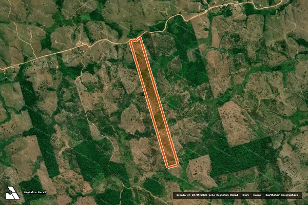 Imagem de satélite de SITIO MONTE DAS OLIVEIRAS em NOVO REPARTIMENTO - PA