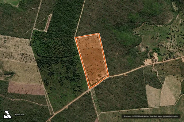 Imagem de satélite de FAZENDA TEIÚ em RIO PARDO DE MINAS - MG