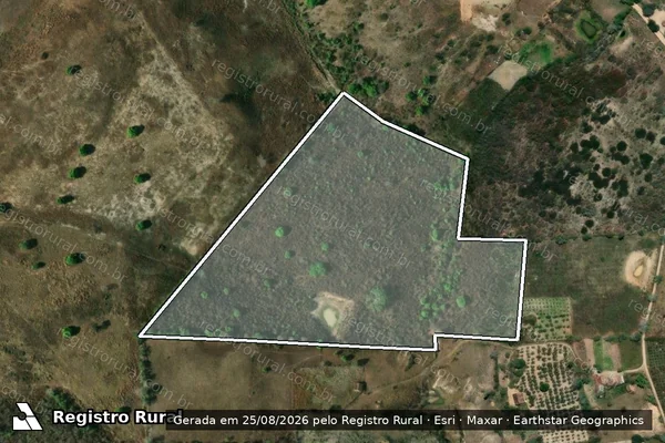 Imagem de satélite de SÍTIO LAGOA VERDE em ESPERANÇA - PB