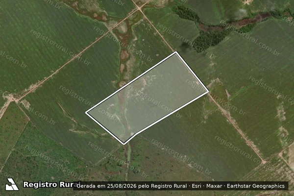 Imagem de satélite de LOTE 07 GLEBA 77 em GOIANÉSIA DO PARÁ - PA