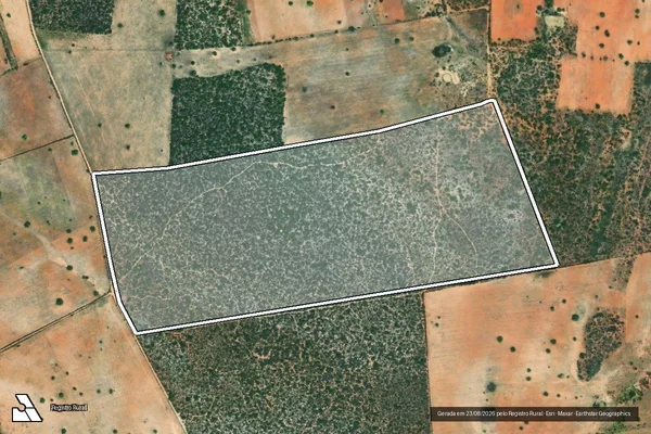 Imagem de satélite de FAZENDA CAIMPÉ II em TUCANO - BA
