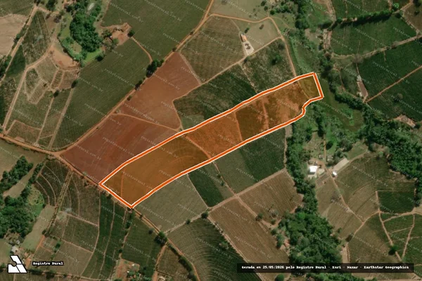 Imagem de satélite de CAMPO REDONDO em SÃO TOMÁS DE AQUINO - MG