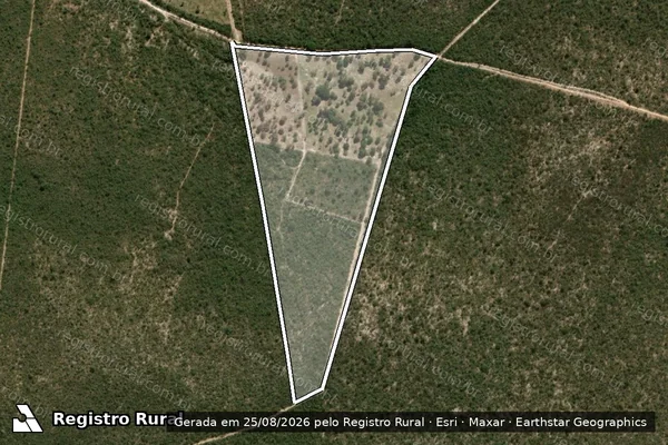 Imagem de satélite de FAZENDA CAMPO GRANDE - SANTA RITA em JANUÁRIA - MG