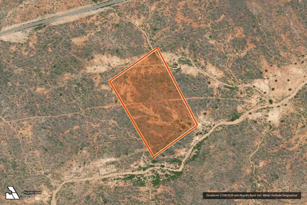 Imagem de satélite de FAZENDA ANGICO 2 em RODELAS - BA