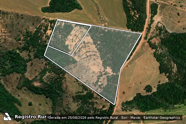 Imagem de satélite de FAZENDA BOA ESPERANÇA em MINEIROS - GO