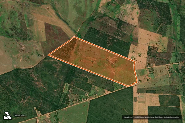 Imagem de satélite de PINTO em RIBEIRA DO AMPARO - BA