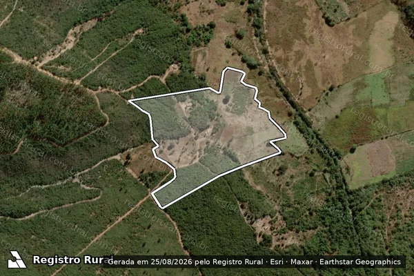 Imagem de satélite de FAZENDA PASSAGEM DO MEIO em RIO PARDO DE MINAS - MG